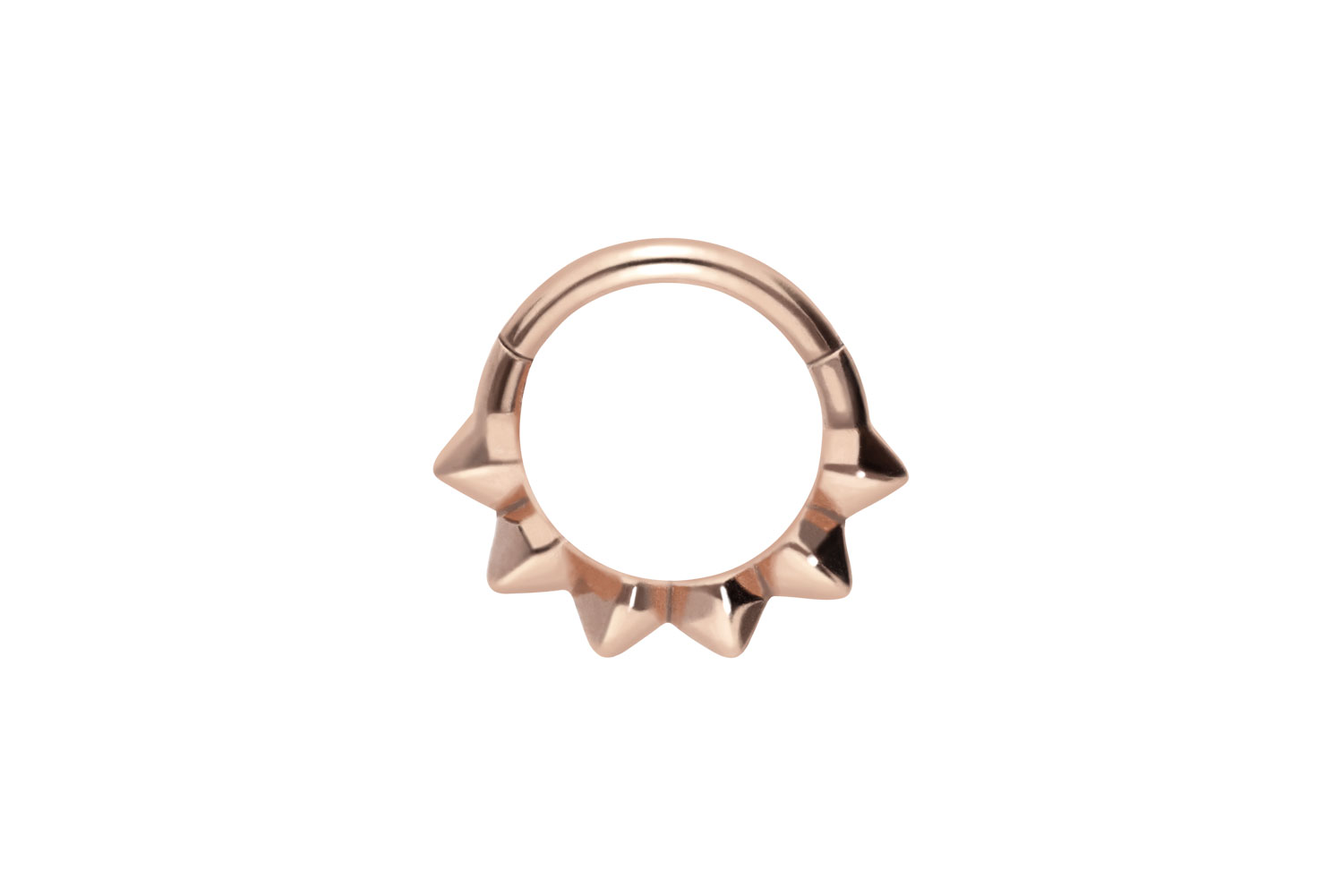 Chirurgenstahl Segmentring Clicker Piercing SPITZEN